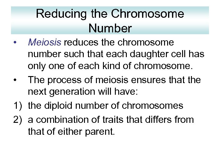 Reducing the Chromosome Number • Meiosis reduces the chromosome number such that each daughter