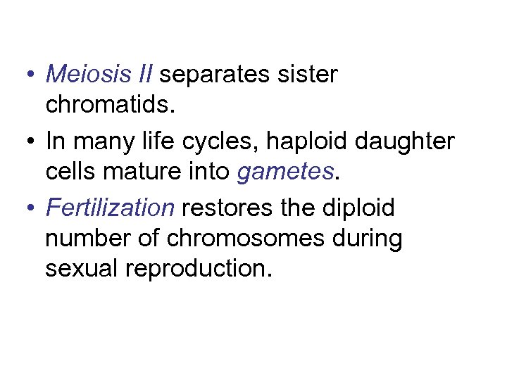  • Meiosis II separates sister chromatids. • In many life cycles, haploid daughter