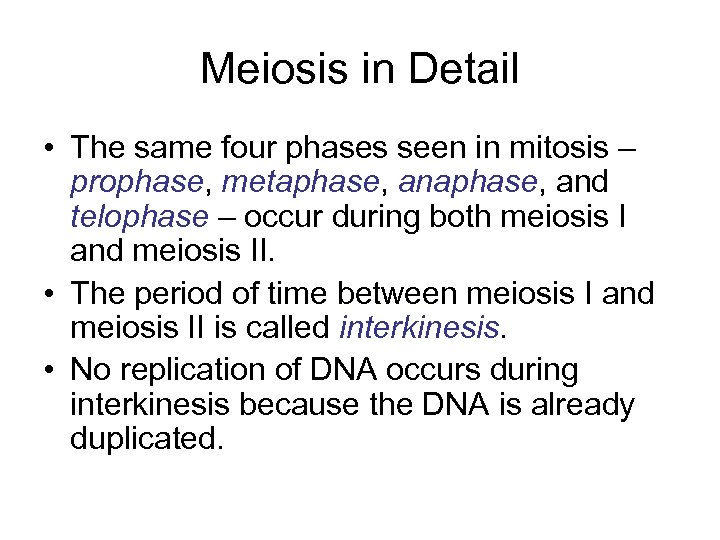Meiosis in Detail • The same four phases seen in mitosis – prophase, metaphase,