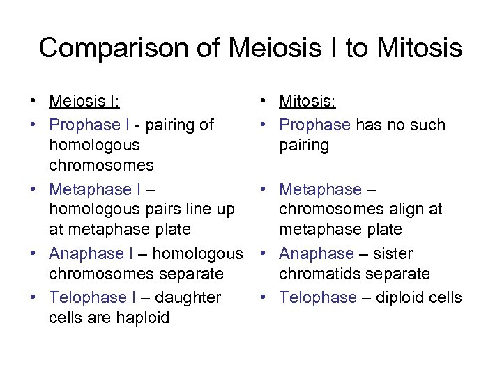Comparison of Meiosis I to Mitosis • Meiosis I: • Prophase I - pairing