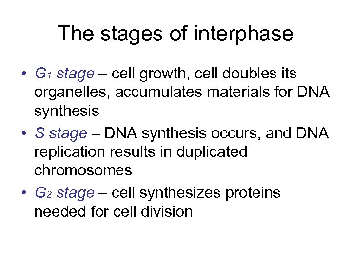 The stages of interphase • G 1 stage – cell growth, cell doubles its