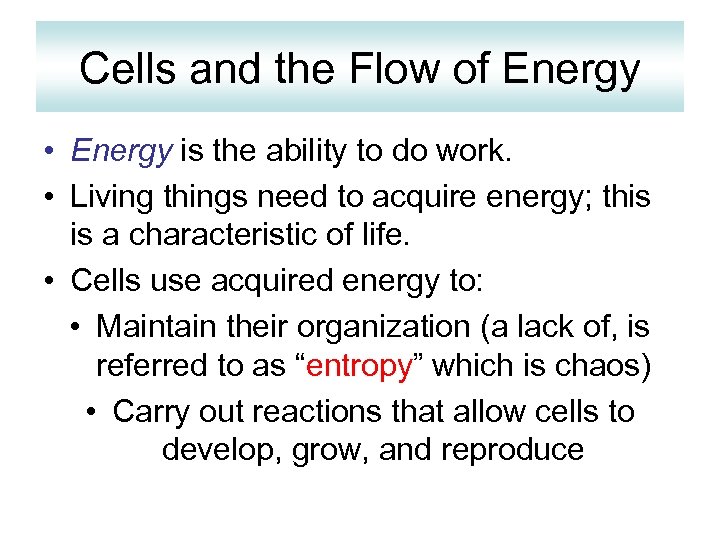 Cells and the Flow of Energy • Energy is the ability to do work.