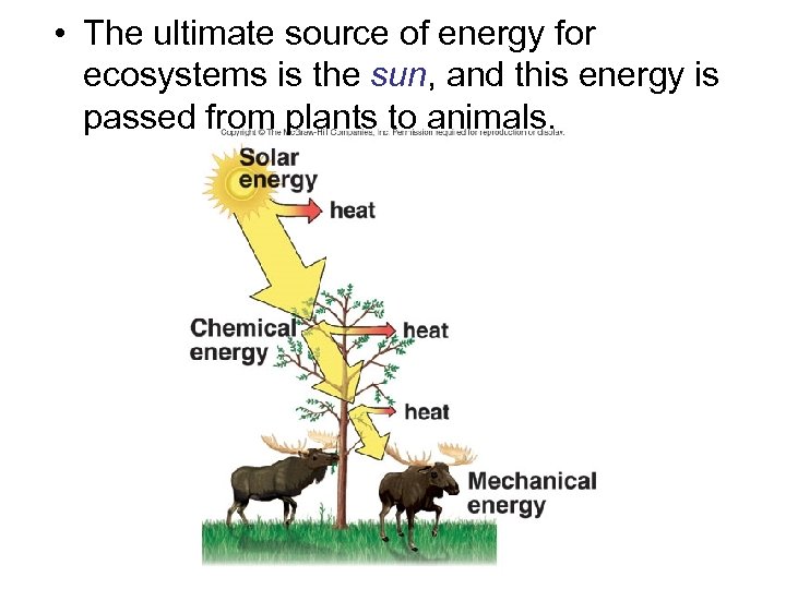  • The ultimate source of energy for ecosystems is the sun, and this