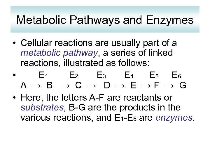 Metabolic Pathways and Enzymes • Cellular reactions are usually part of a metabolic pathway,