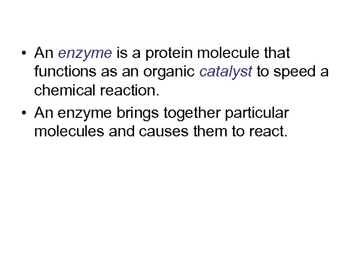  • An enzyme is a protein molecule that functions as an organic catalyst