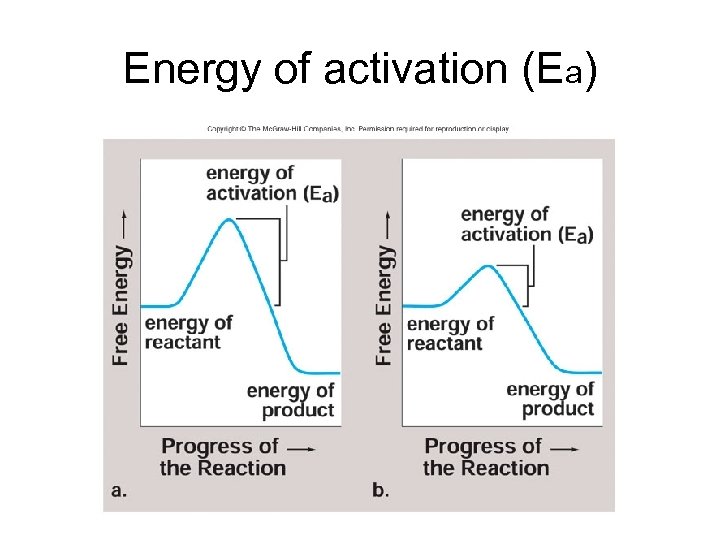 Energy of activation (Ea) 
