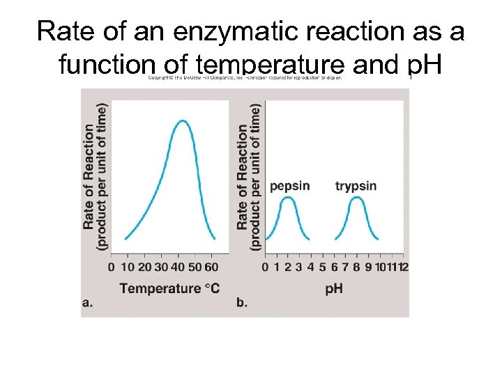 Rate of an enzymatic reaction as a function of temperature and p. H 