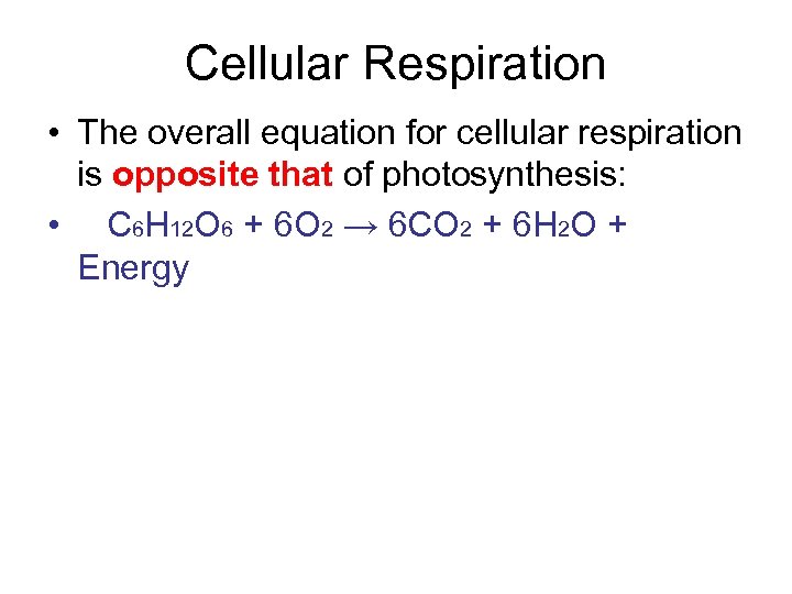 Cellular Respiration • The overall equation for cellular respiration is opposite that of photosynthesis: