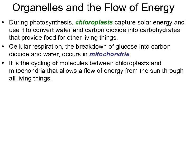 Organelles and the Flow of Energy • During photosynthesis, chloroplasts capture solar energy and