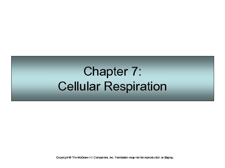 Chapter 7: Cellular Respiration 