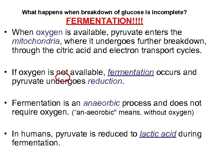What happens when breakdown of glucose is incomplete? FERMENTATION!!!! • When oxygen is available,