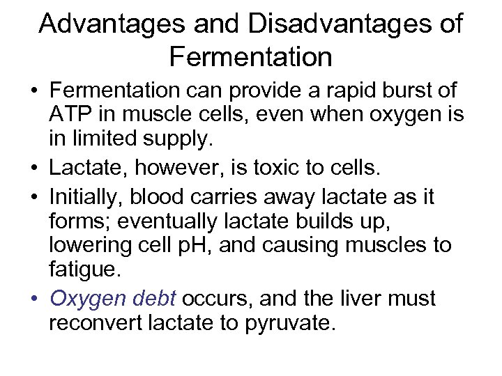 Advantages and Disadvantages of Fermentation • Fermentation can provide a rapid burst of ATP