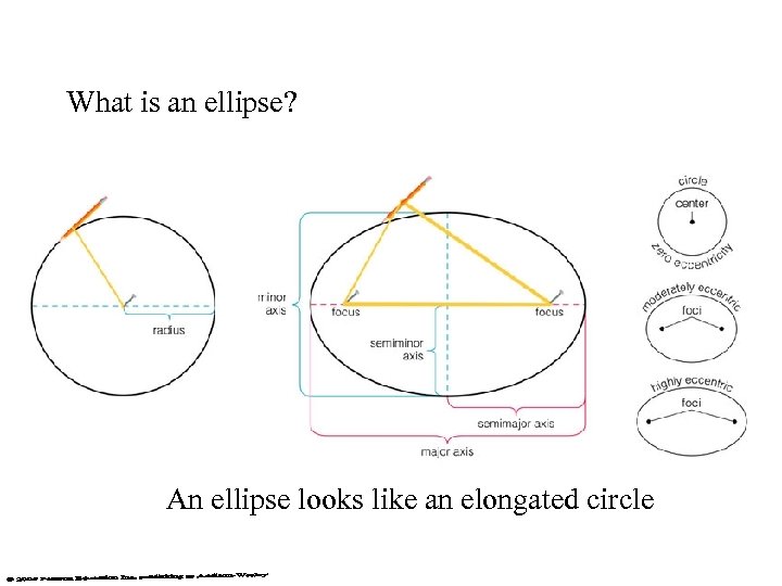 What is an ellipse? An ellipse looks like an elongated circle 