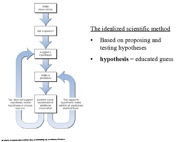 The idealized scientific method • Based on proposing and testing hypotheses • hypothesis =