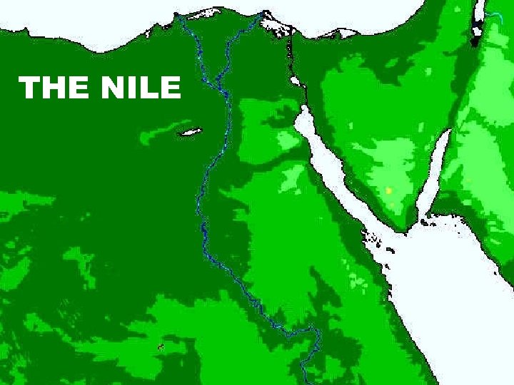 THE NILE 