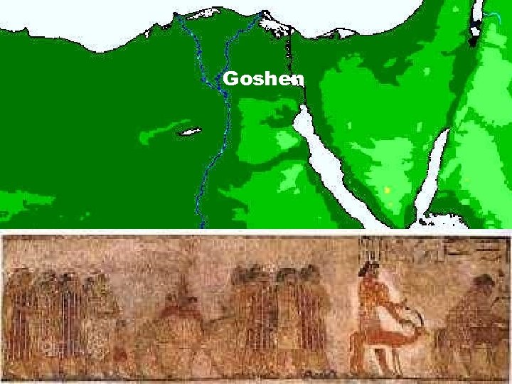 Goshen 
