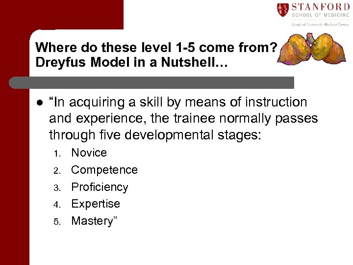 Where do these level 1 -5 come from? Dreyfus Model in a Nutshell… l
