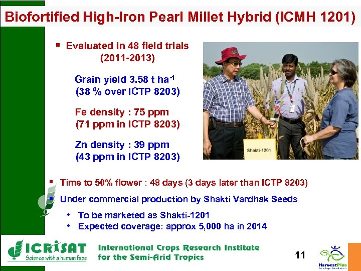 Biofortified High-Iron Pearl Millet Hybrid (ICMH 1201) § Evaluated in 48 field trials (2011