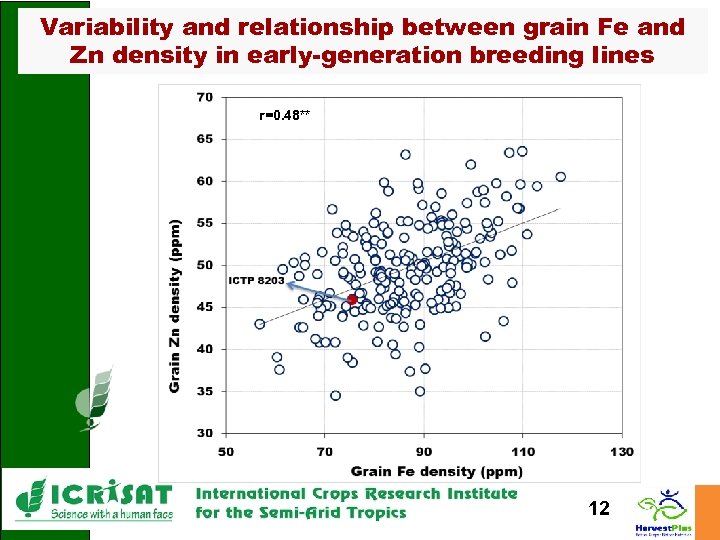 Variability and relationship between grain Fe and Zn density in early-generation breeding lines r=0.