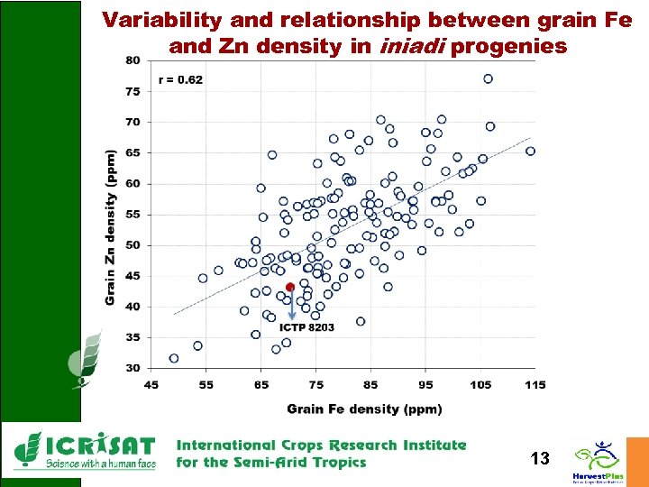 Variability and relationship between grain Fe and Zn density in iniadi progenies 13 