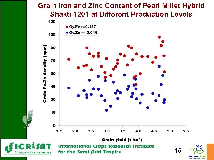 Grain Iron and Zinc Content of Pearl Millet Hybrid Shakti 1201 at Different Production