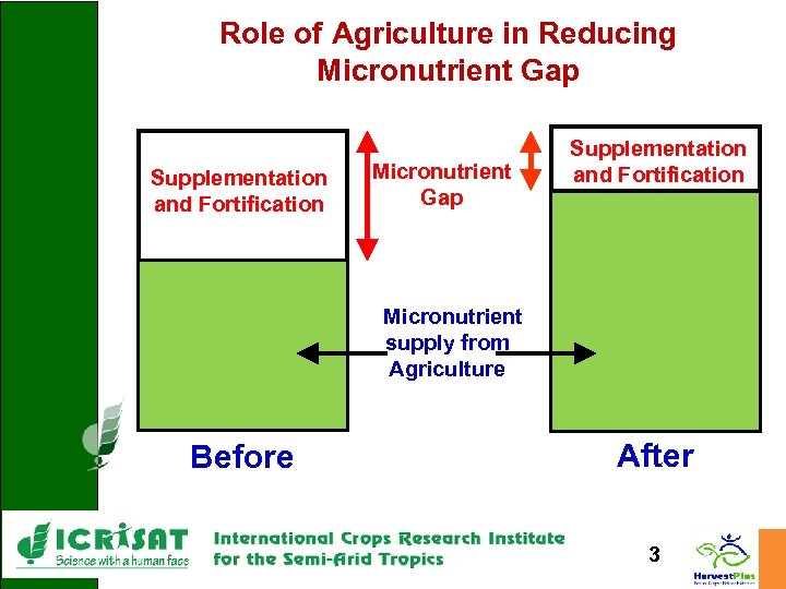 Role of Agriculture in Reducing Micronutrient Gap Supplementation and Fortification Micronutrient supply from Agriculture