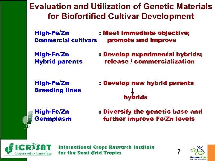 Evaluation and Utilization of Genetic Materials for Biofortified Cultivar Development High-Fe/Zn : Meet immediate