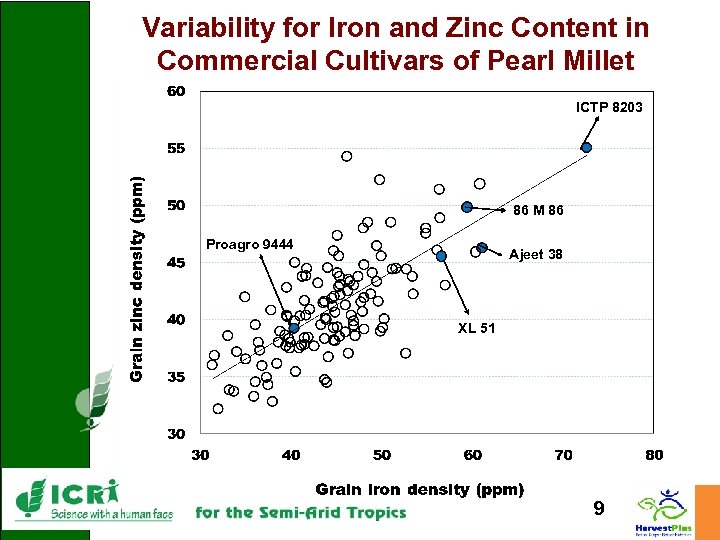 Variability for Iron and Zinc Content in Commercial Cultivars of Pearl Millet ICTP 8203