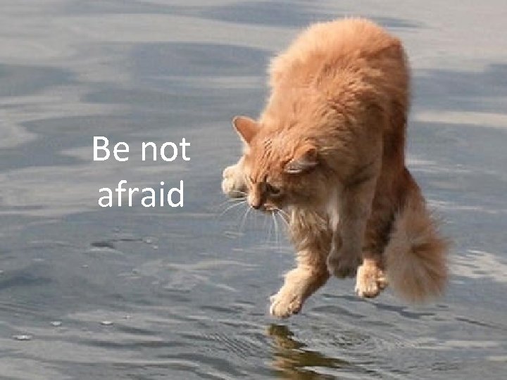 Be not afraid 