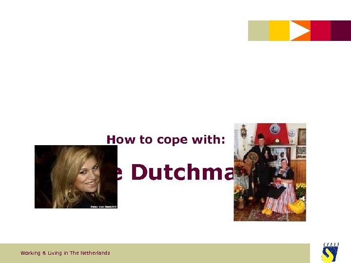 How to cope with: ‘The Dutchman’ Working & Living in The Netherlands 