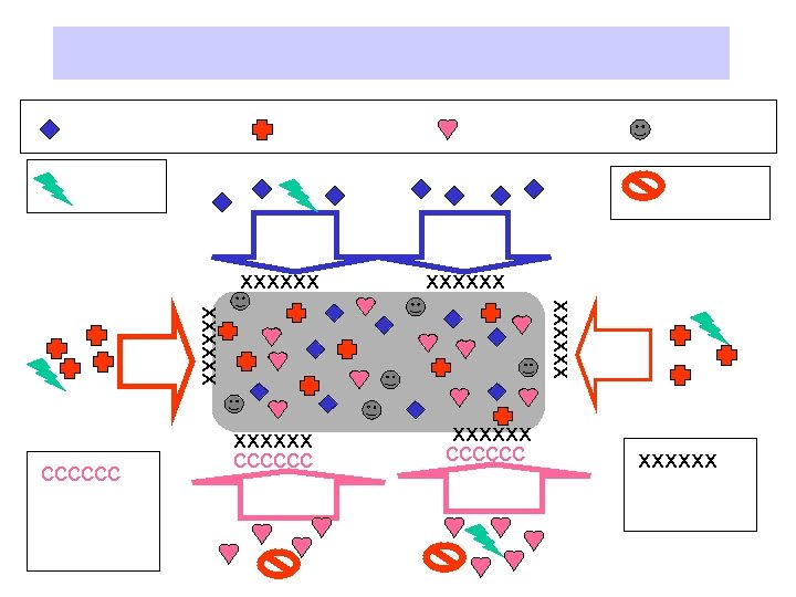 xxxxxx cccccc xxxxxx 