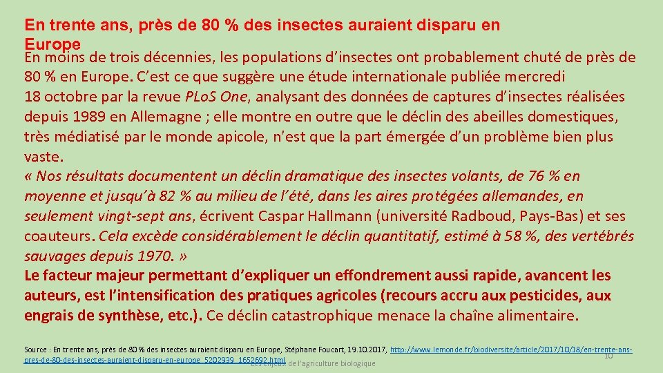 En trente ans, près de 80 % des insectes auraient disparu en Europe En