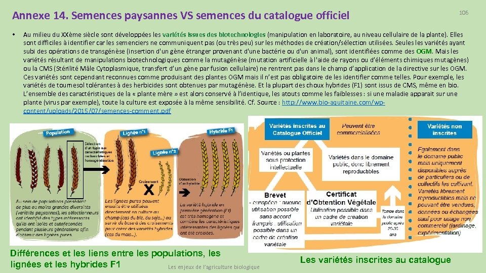 Annexe 14. Semences paysannes VS semences du catalogue officiel • 106 Au milieu du