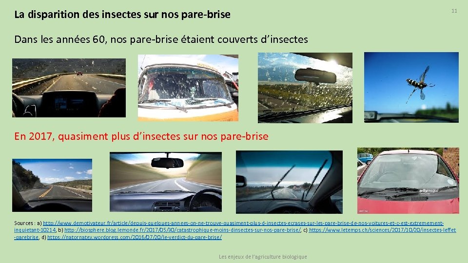 La disparition des insectes sur nos pare-brise 11 Dans les années 60, nos pare-brise