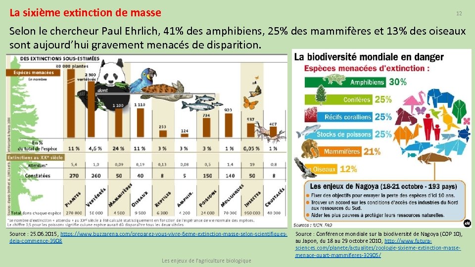 La sixième extinction de masse 12 Selon le chercheur Paul Ehrlich, 41% des amphibiens,