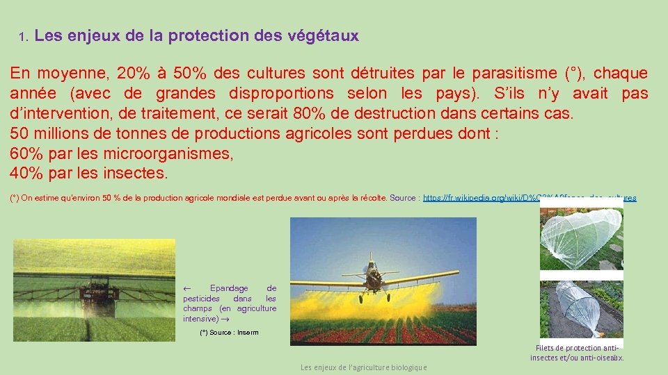 1. Les enjeux de la protection des végétaux En moyenne, 20% à 50% des