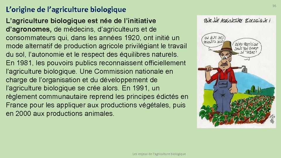 36 L’origine de l’agriculture biologique L’agriculture biologique est née de l’initiative d’agronomes, de médecins,