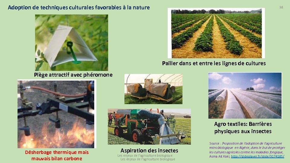 Adoption de techniques culturales favorables à la nature 38 Pailler dans et entre les