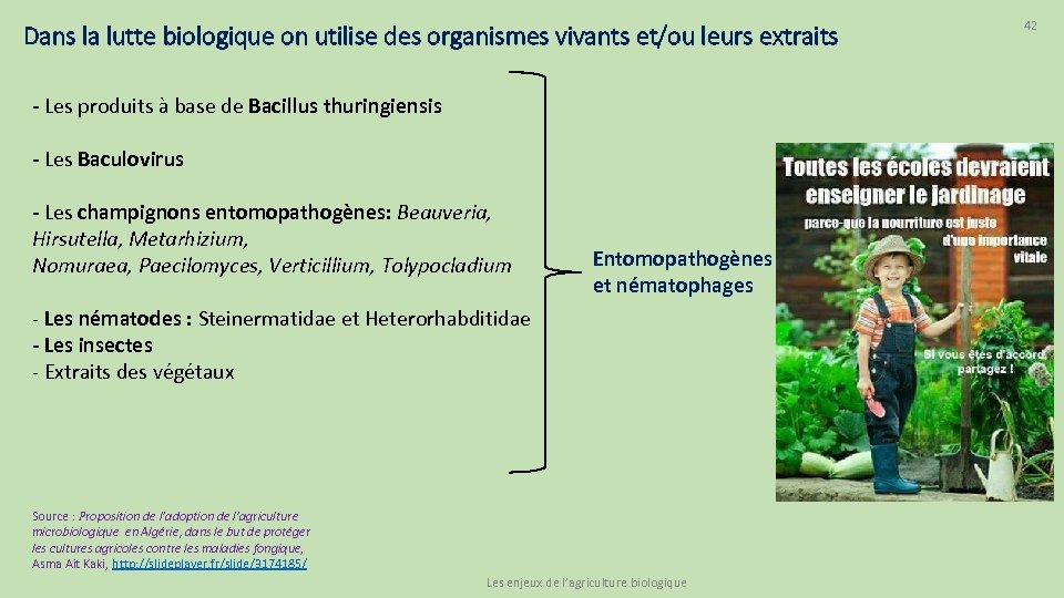 Dans la lutte biologique on utilise des organismes vivants et/ou leurs extraits - Les