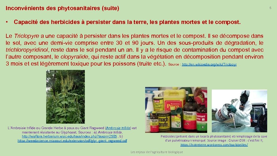 Inconvénients des phytosanitaires (suite) 6 • Capacité des herbicides à persister dans la terre,