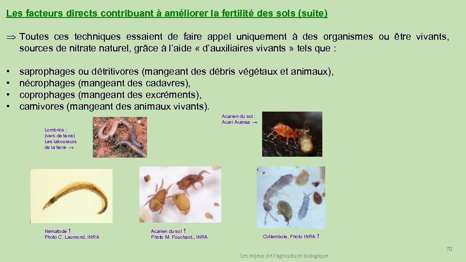 Les facteurs directs contribuant à améliorer la fertilité des sols (suite) Þ Toutes ces