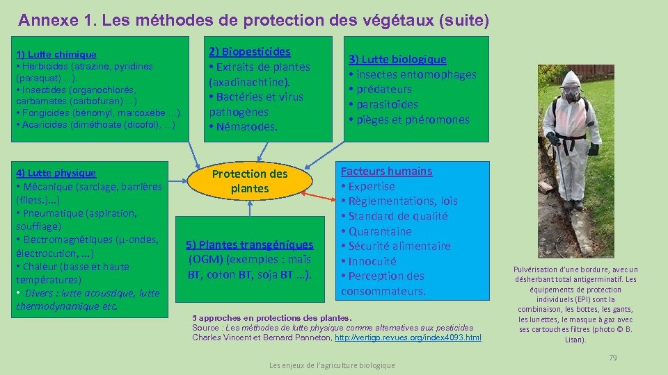 Annexe 1. Les méthodes de protection des végétaux (suite) 1) Lutte chimique • Herbicides