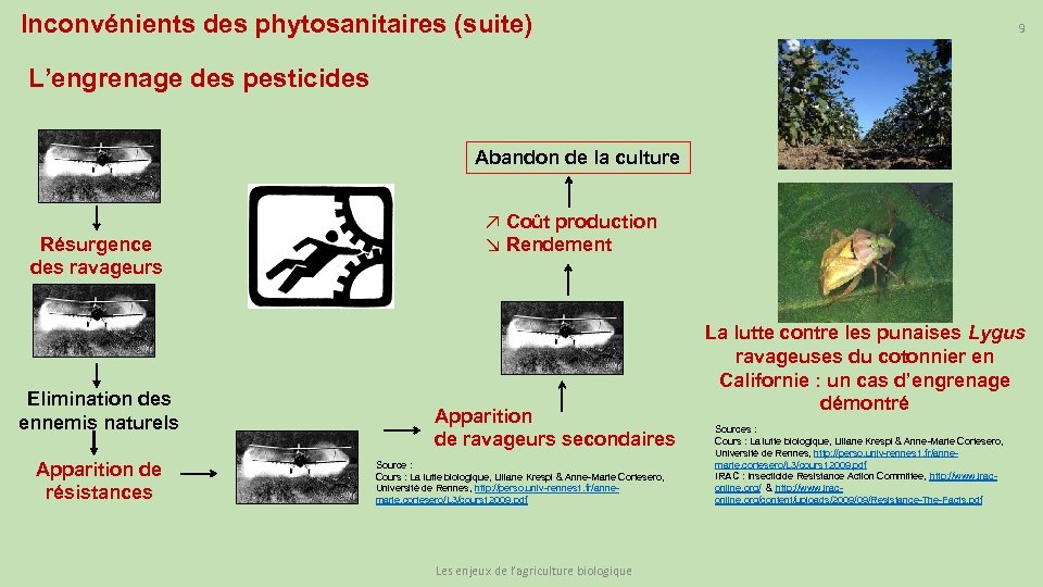 Inconvénients des phytosanitaires (suite) 9 L’engrenage des pesticides Abandon de la culture Résurgence des