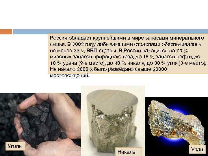 Россия обладает крупнейшими в мире запасами минерального сырья. В 2002 году добывающими отраслями обеспечивалось