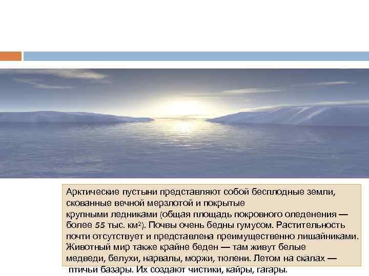 Арктические пустыни представляют собой бесплодные земли, скованные вечной мерзлотой и покрытые крупными ледниками (общая