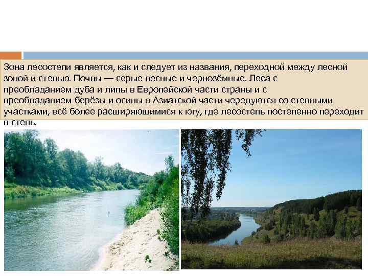 Зона лесостепи является, как и следует из названия, переходной между лесной зоной и степью.