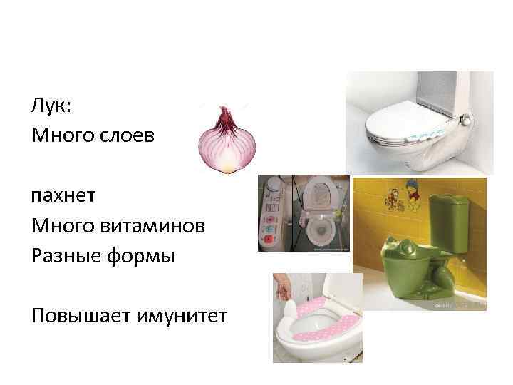 Лук: Много слоев пахнет Много витаминов Разные формы Повышает имунитет 