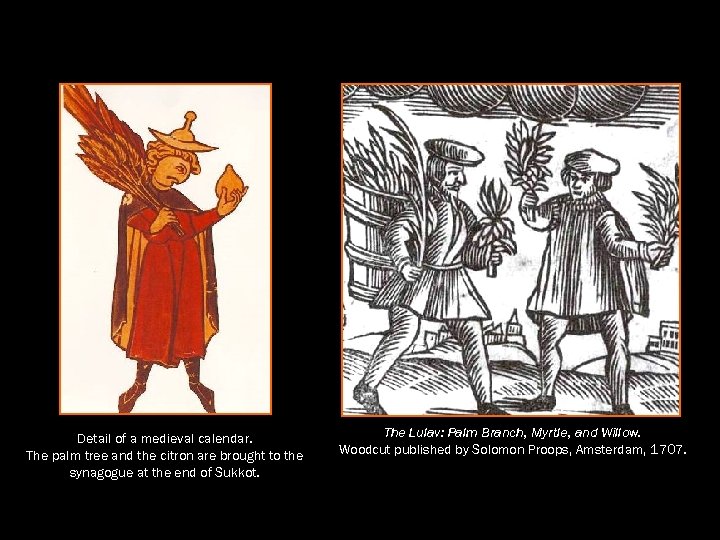 Detail of a medieval calendar. The palm tree and the citron are brought to