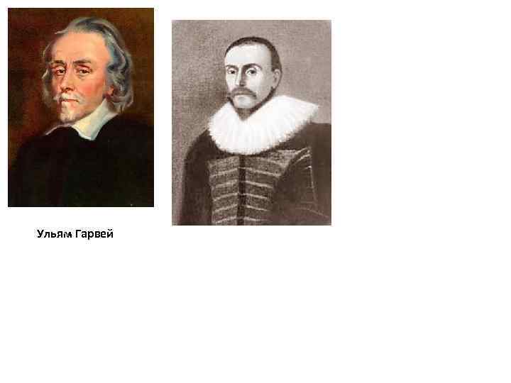 Ульям Гарвей 