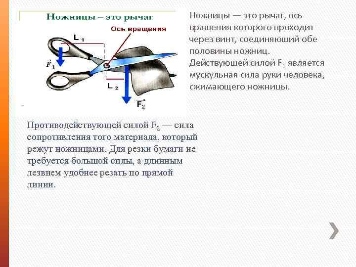 На каких рисунках изображены устройства действие которых основано на применении рычагов